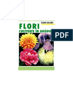 flori-cultivate-in-gradina-120210030749-phpapp02.pdf