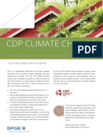 2021DFGE CDP en Web PDF