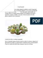 cactusul si crevetele.docx