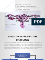 Afecciones Benignas en El Aparato Reproductor Femenino
