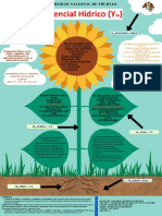 Infografía de Fisiología N°2 PDF