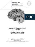 Anatomía externa e interna. Sistema nervioso central.pdf