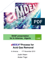 In Amenas BASF Training 2010.pdf