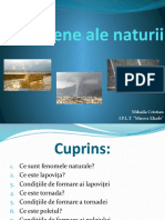 Fenomene Ale Naturii