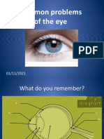 Common Problems of The Eye - TRIPLE