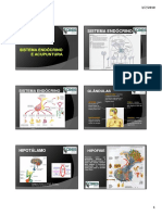 Sistema endócrino e MTC.pdf