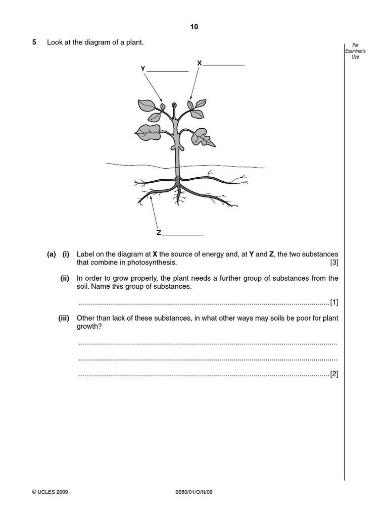 FOTOSÍNTESISyRELACIONES TRÓFICAS0680 w09 QP 1-2 | PDF | Plants ...