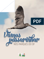 Vamos-passarinhar-nos-parques-do-DF.compressed