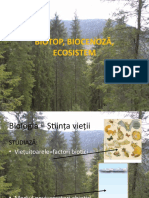 Biotop, Biocenoza, Ecosistem