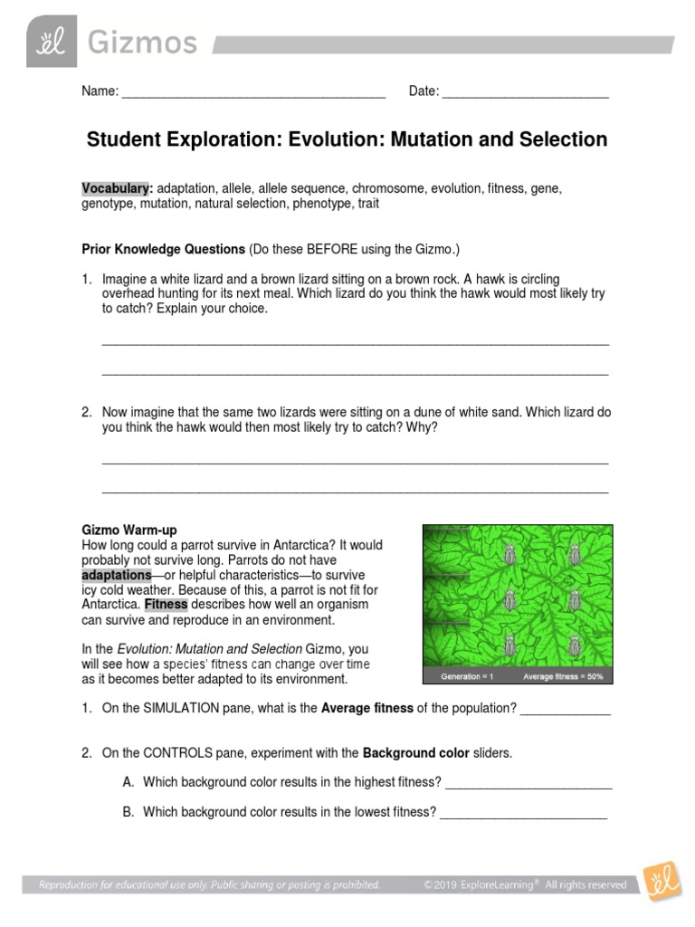 Mutation And Selection Gizmo Answer Key Pdf