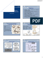 1desarrollo Evolutivo Mielinizacion y Neuroplasticidad Auditiva