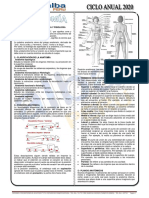 Anatomía PDF