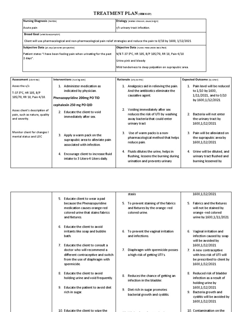Nursing Care Plan for UTI Management | PDF | Urinary Tract Infection ...
