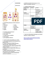 Actividad de Repaso Del Sistema Endocrino