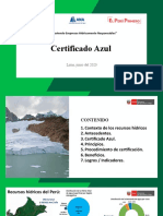 Certificado_Azul_Webinar_11JUN20 (1)