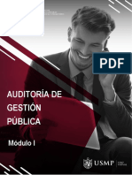 SEPARATA - MI - Auditoría de Gestión PDF