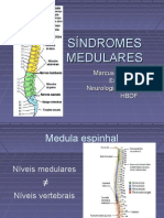 Sndromesmedulares 141107045042 Conversion Gate01 PDF