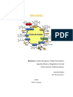 Informe Ciclo de Krebs