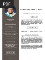 James Cristopher O. Reyes: Profile