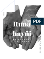 Revista Runa Hayñi PDF