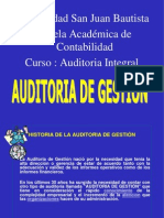 Auditoria de Gestion