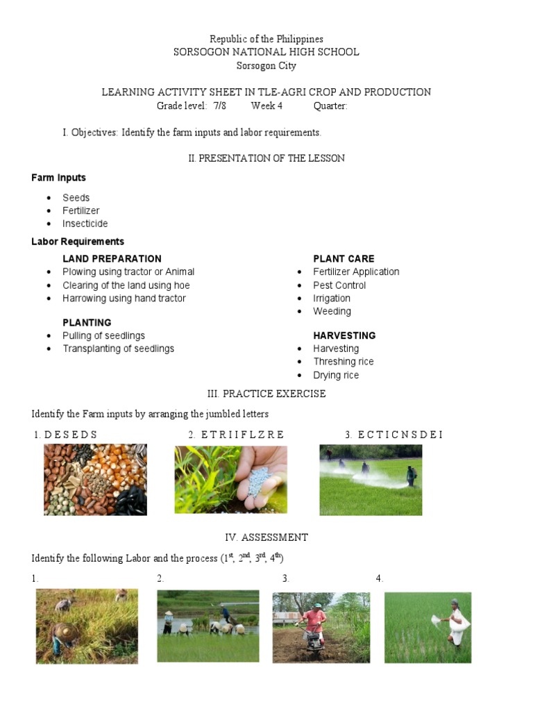 TLE-Agriculture Crop Production Guide | PDF