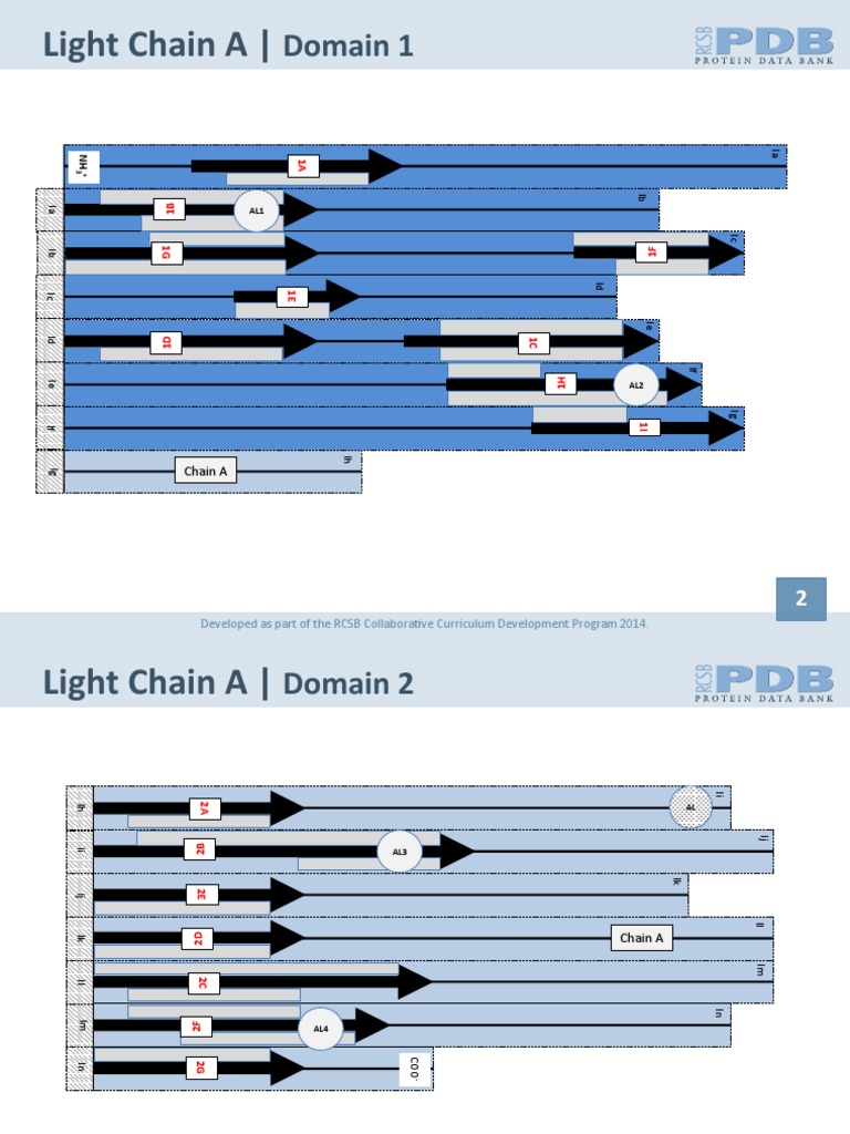Light and Heavy Chain Domains Overview | PDF | Aircraft