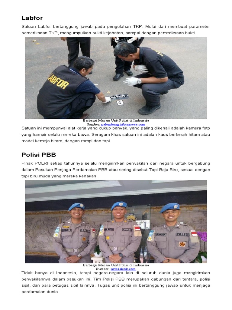 Unit Polisi Khusus di Indonesia | PDF