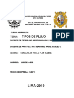 TIPO DE FLUJO EN CANALES.docx