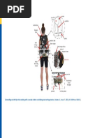 10 1098-Rsos 182021figure1820211