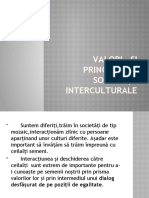 Valori Și Principii Ale Societății Interculturale