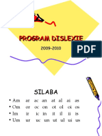 program dislexie