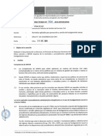 Informe Técnico 2006-2019-SERVIR-GPGSC Modelo PDF