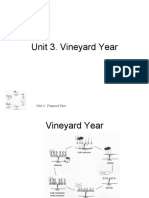 Unit 3 - Vineyard Year- white