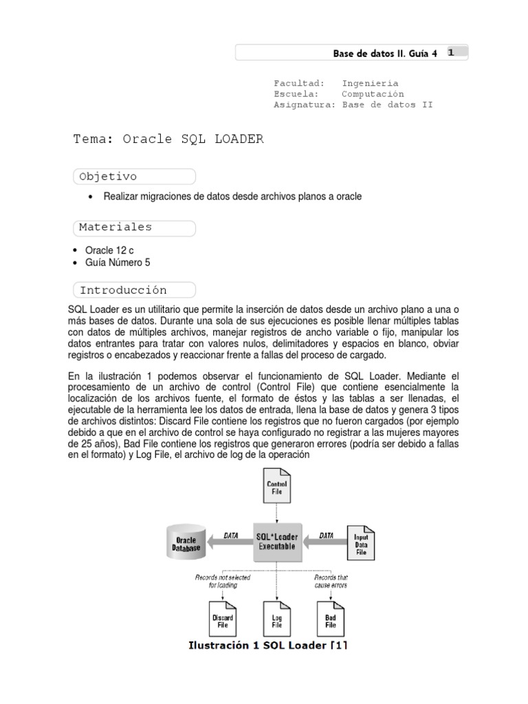 Guía de Uso de Oracle SQL Loader | PDF | SQL | Archivo de computadora