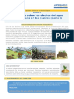 Actividad Semana 28 - 1° Sec PDF