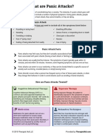 Atac Panica Info Sheet