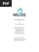 Lab Report Ad Chem 2020 - Top May Jade Pim Ling