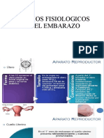 Cambios Fisiologicos en El Embarazo