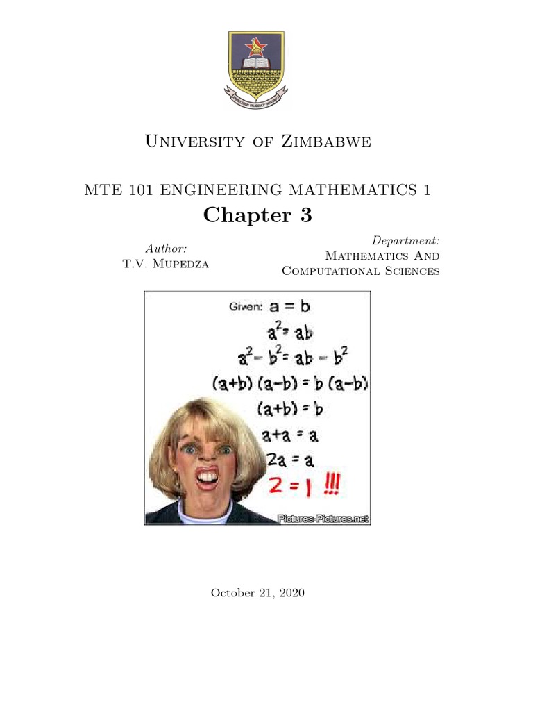 Understanding Functions in Engineering Mathematics | PDF | Function ...