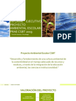 INFORME EJECUTIVO PROYECTO AMBIENTAL ESCOLAR-PRAE CSBT 2019.pptx
