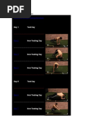 Athlean-X - 22 Day Pushup Workout