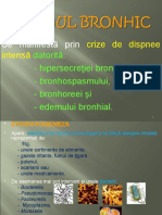 Respirator 2 PowerPoint Presentation 2003