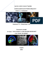 Конспекти лекцій до курсу "Анатомія та еволюція нервової системи людини" PDF