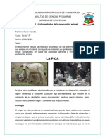 Mullo Sandra La Pica PDF