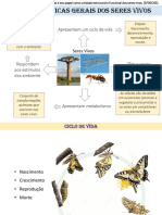 Características Gerais Dos Seres Vivos