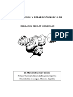 Regeneracion Muscular PDF