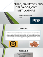 P2.2 - Biorremediacion de CO y Metilaminas