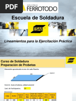 E.S. FERROTODO_ Linamientos Prácticos