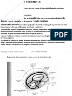 12 - Curs Patologie Vasculara Si Neuroinfectii PDF